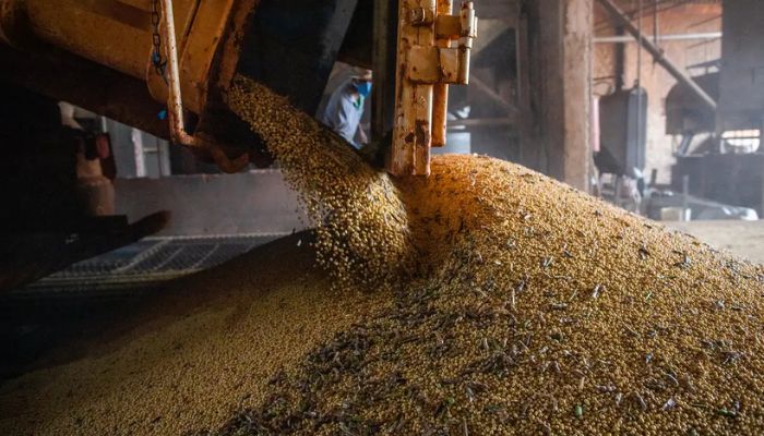 © CNA/Wenderson Araujo/Trilux PIB atinge patamar recorde pelo 14º trimestre seguido
